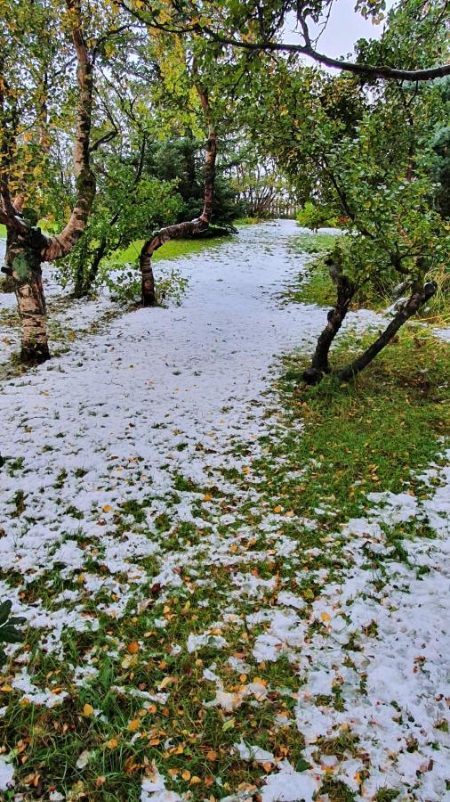 Karuna Guesthouse Saudarkrokur Εξωτερικό φωτογραφία